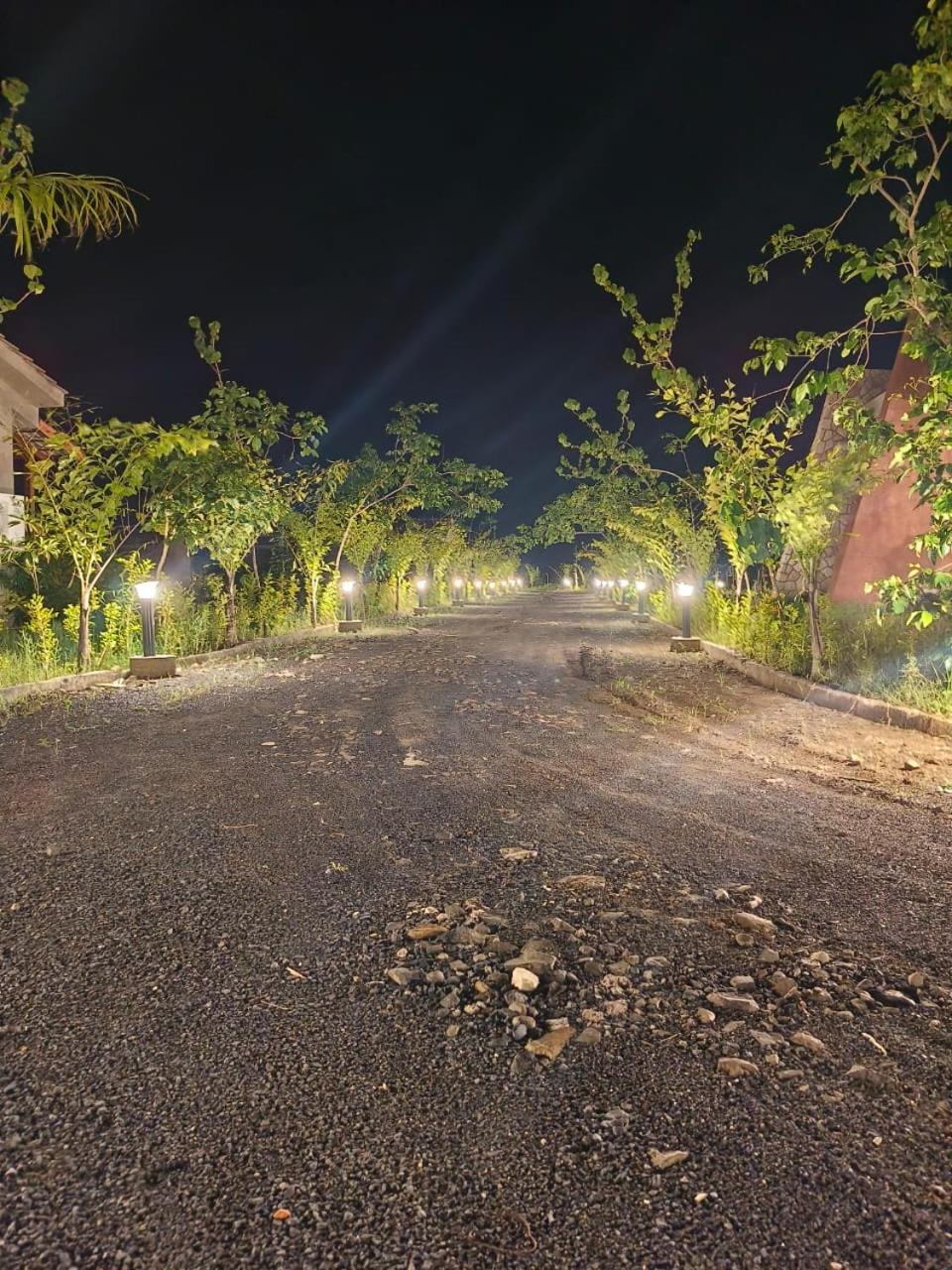 Baghvann Jungle Resort Kolāra Eksteriør bilde
